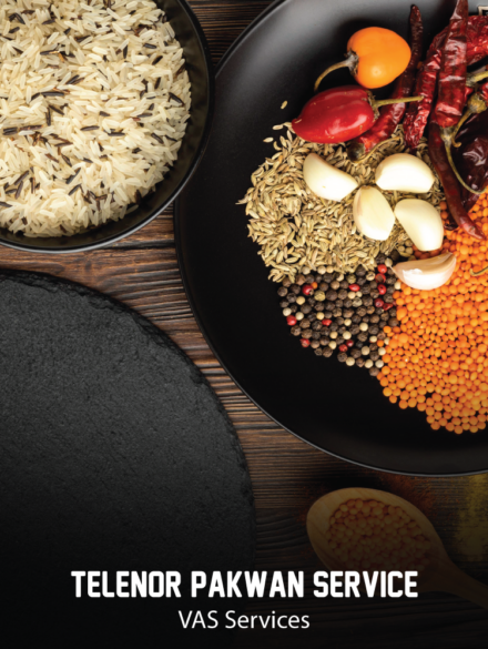 Telenor-Pakwan-Service